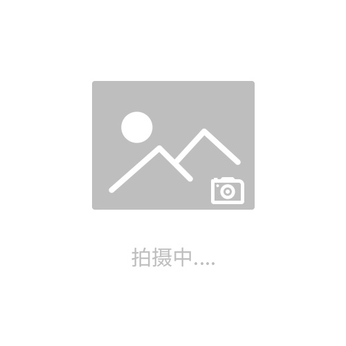 精密成型模具溫度控制機(jī)